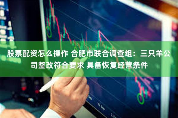 股票配资怎么操作 合肥市联合调查组：三只羊公司整改符合要求 具备恢复经营条件