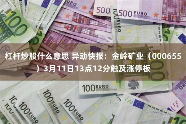杠杆炒股什么意思 异动快报：金岭矿业（000655）3月11日13点12分触及涨停板
